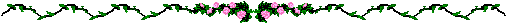 Rosevin2.gif (1421 bytes)