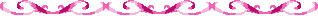 Wn88scr1