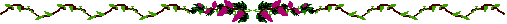bar_grapvine.gif (2131 bytes)