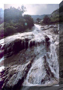 w_shan3.jpg (27583 bytes)