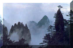 w_shan4.jpg (14113 bytes)