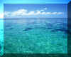 wall_sea.jpg (145319 bytes)